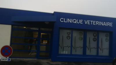 Repérez les meilleurs cliniques vétérinaires à Fourmies – Nord