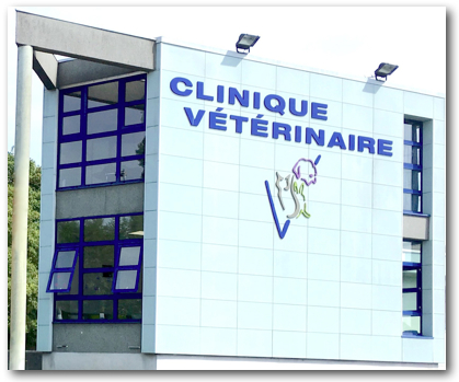 Repérez les meilleurs vétérinaires à Persan – Val-d’Oise