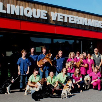 Top 10 des bons cliniques vétérinaires à Mont-Saint-Aignan – Seine-Maritime