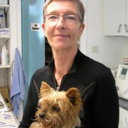 Top 10 des cabinets vétérinaires à Villeneuve-lès-Avignon – Meilleurs médecins pour votre animal