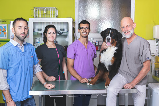 Top 10 des cliniques vétérinaires à Chennevières-sur-Marne – Meilleurs médecins pour votre animal