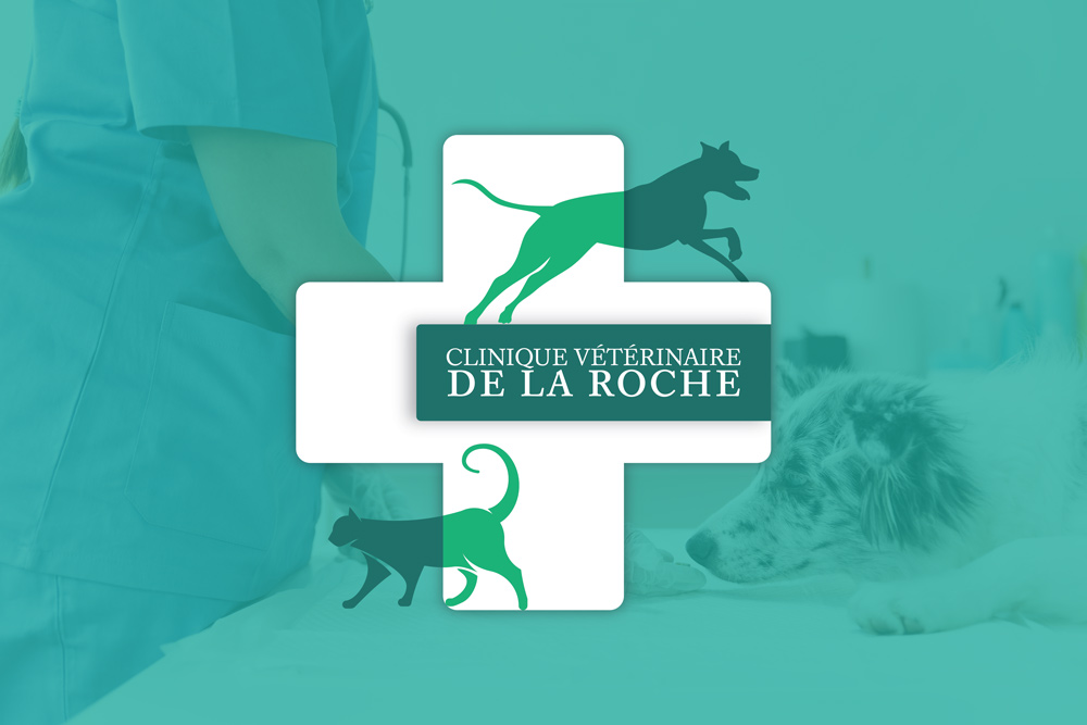 Top 10 des cliniques vétérinaires à Poitiers – Meilleurs médecins pour votre chien
