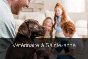 Top 10 des cliniques vétérinaires à Sainte-Anne – Meilleurs docteurs pour votre animal
