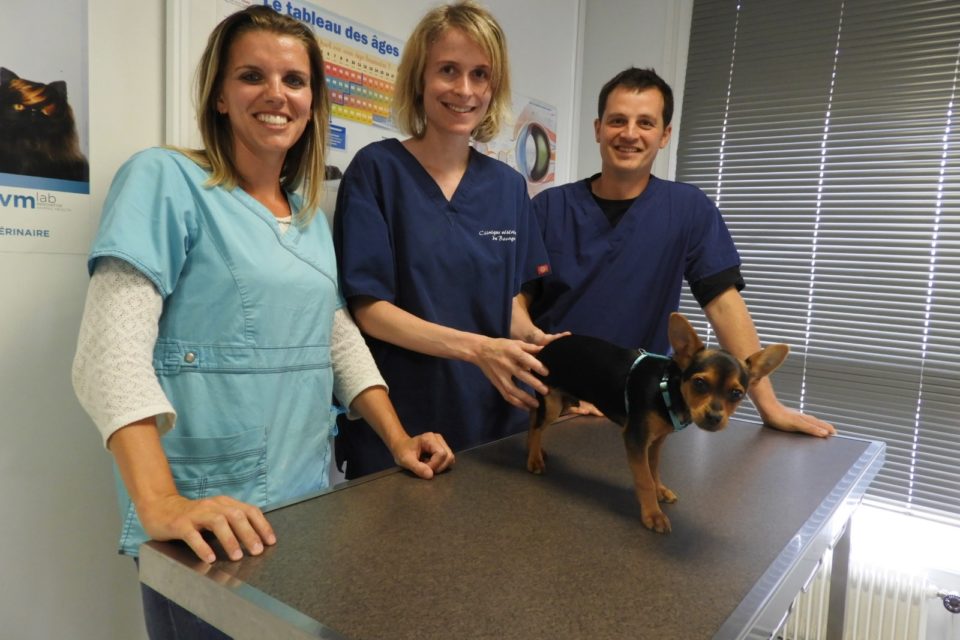 Top 10 des meilleurs cliniques vétérinaires à Flers – Orne
