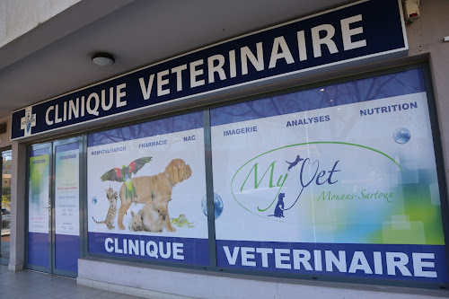 Top 5 des cabinets vétérinaires à Mouans-Sartoux – Meilleurs docteurs pour votre chien