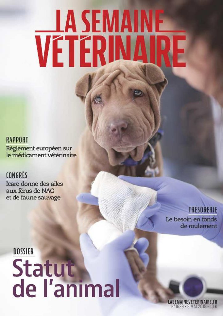 Top 5 des cliniques vétérinaires à Bois-d’Arcy – Meilleurs docteurs pour votre animal de compagnie