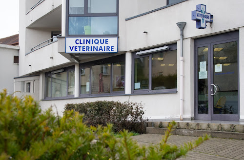 Trouvez les bons cliniques vétérinaires à Forbach – Moselle