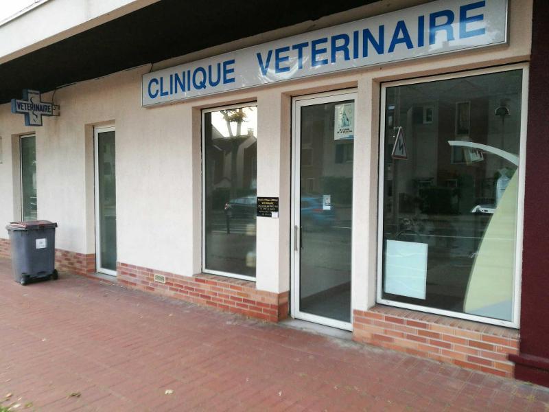 Trouvez les bons vétérinaires à Voisins-le-Bretonneux – Yvelines