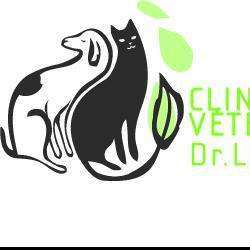 Trouvez les meilleurs cliniques vétérinaires à Nancy – Meurthe-et-Moselle
