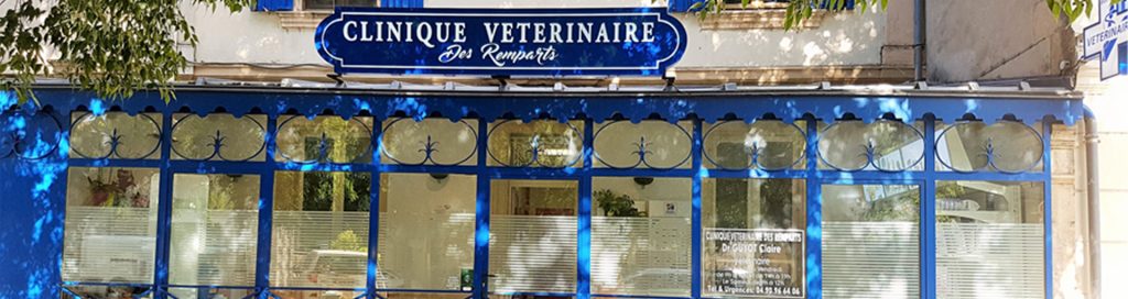 Trouvez les meilleurs Docteurs Vétérinaires à Arles – Bouches-du-Rhône