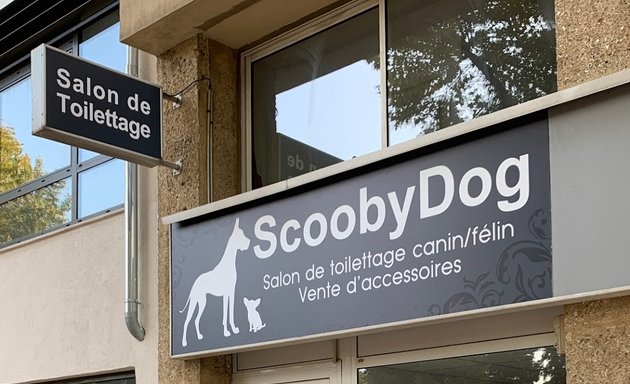 Vétérinaires à Aix-en-Provence – Listing des meilleurs professionnels
