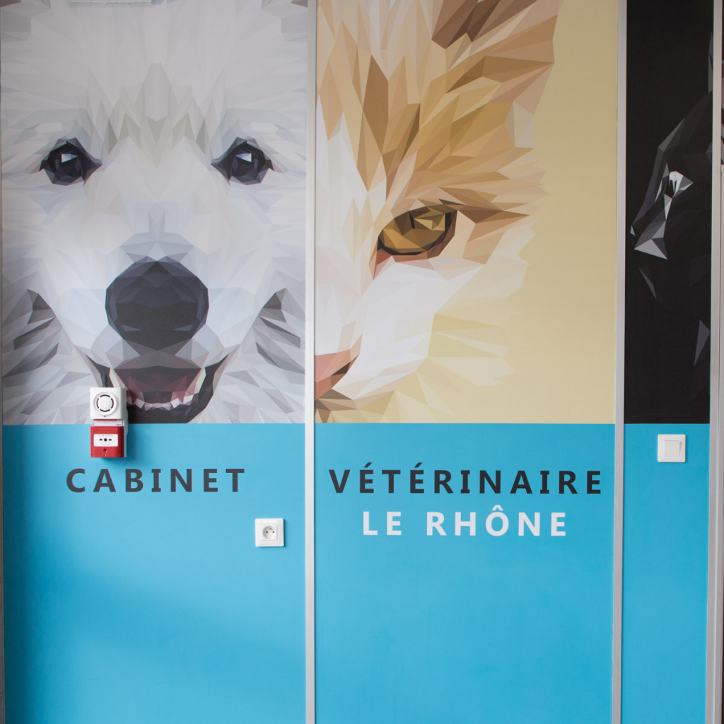 Vétérinaires à Bellegarde-sur-Valserine – Répertoire des plus professionnels