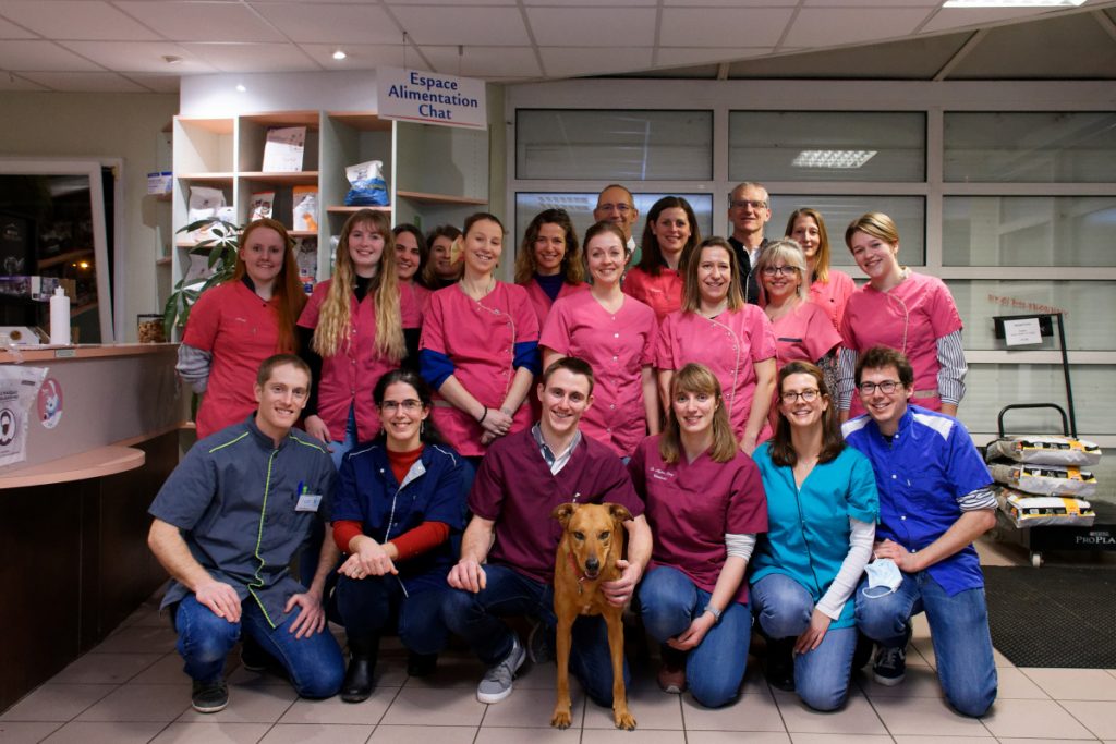 Vétérinaires à Lunéville – Top 10 des plus professionnels