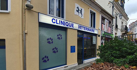 Vétérinaires à Noisy-le-Sec – Répertoire des meilleurs professionnels