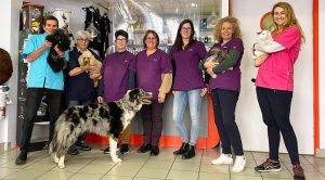 Vétérinaires à Villefranche-sur-Saône – des plus professionnels