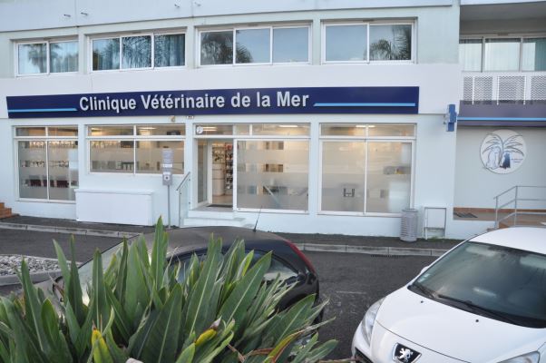 Vétérinaires à Villeneuve-Loubet – Listing des meilleurs professionnels