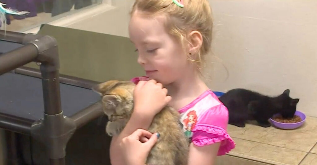 À seulement 5 ans, cette petite fille fait preuve d’un incroyable altruisme envers les animaux abandonnés !