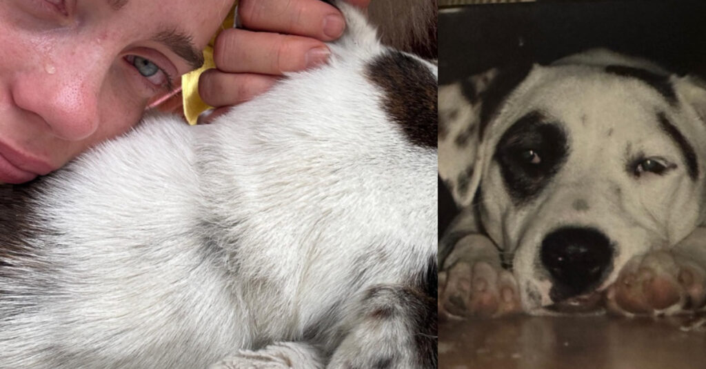 Billie Eilish rend un hommage émouvant à sa chienne Pepper : Tu vas pleurer !