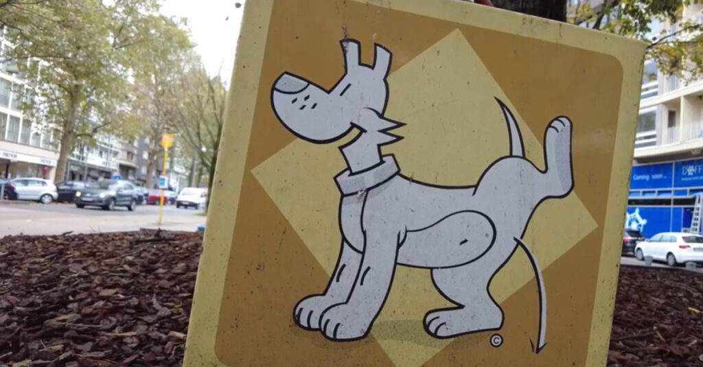Fléau des déjections canines en Belgique : Appel urgent à tous les citoyens !