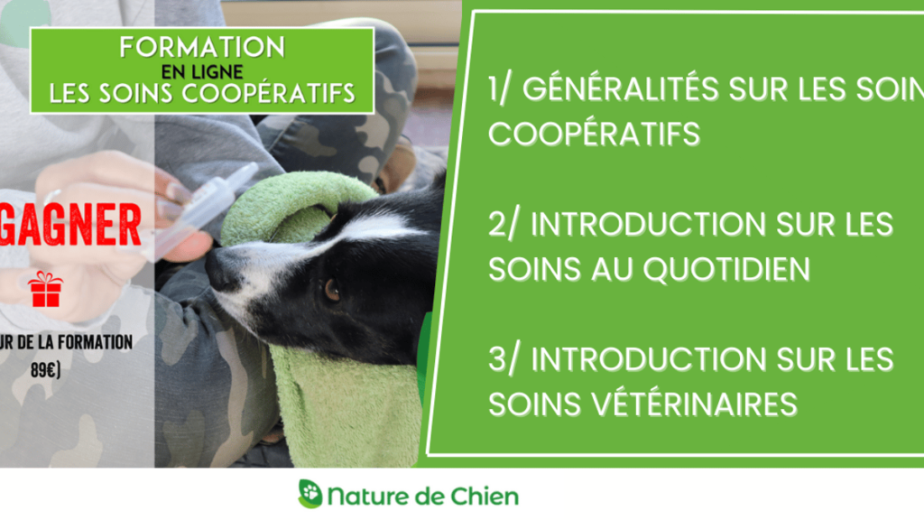 Soignez votre chien de manière coopérative avec Wamiz et Nature de Chien : Gagnez une formation en ligne !