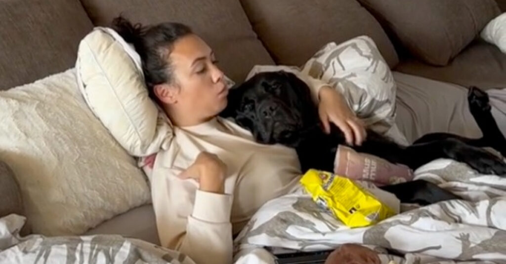 Elle démissionne pour offrir la journée parfaite à son chien malade : Émouvant !
