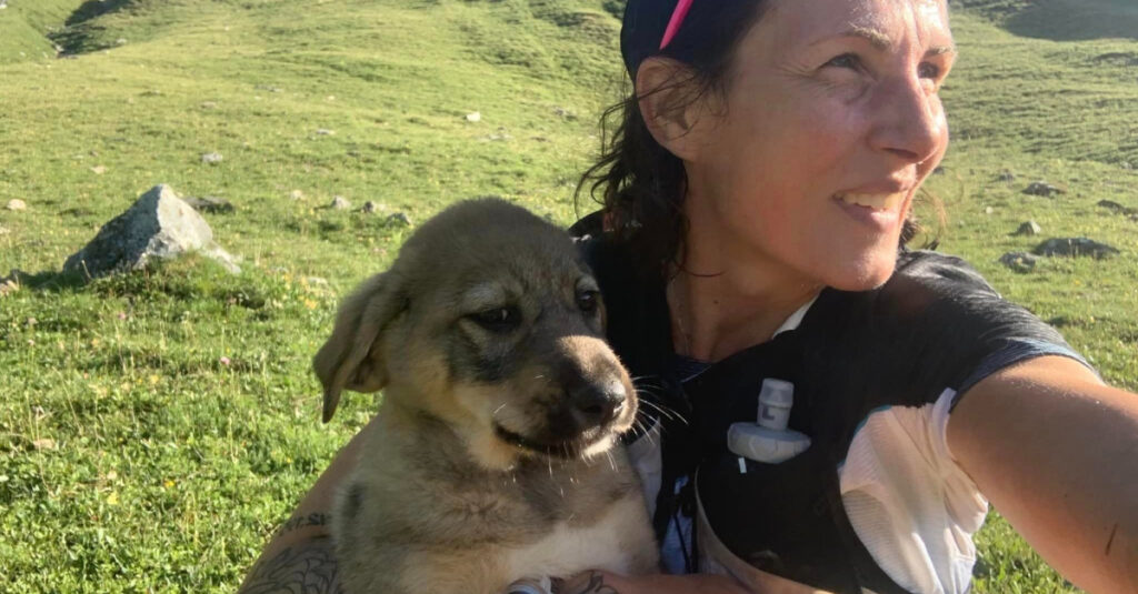 Émouvante rencontre d’une athlète alsacienne et d’un chiot perdu en montagne (vidéo)