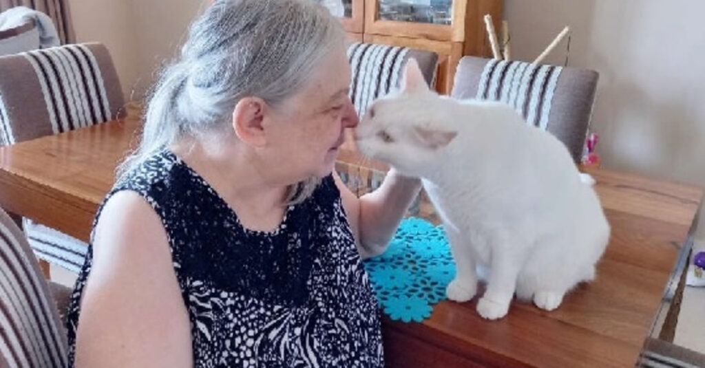 Incroyable : Ce chat dit adieu de manière émouvante à sa maîtresse, une fervente défenseure des animaux !