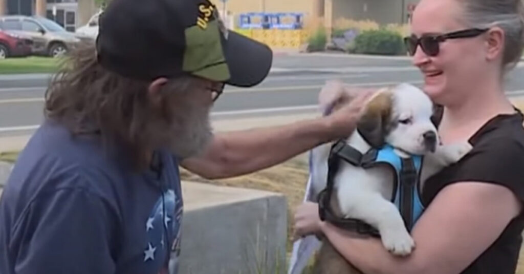 Incroyable : Un chien d’assistance trouve enfin sa famille grâce à une vague solidaire !