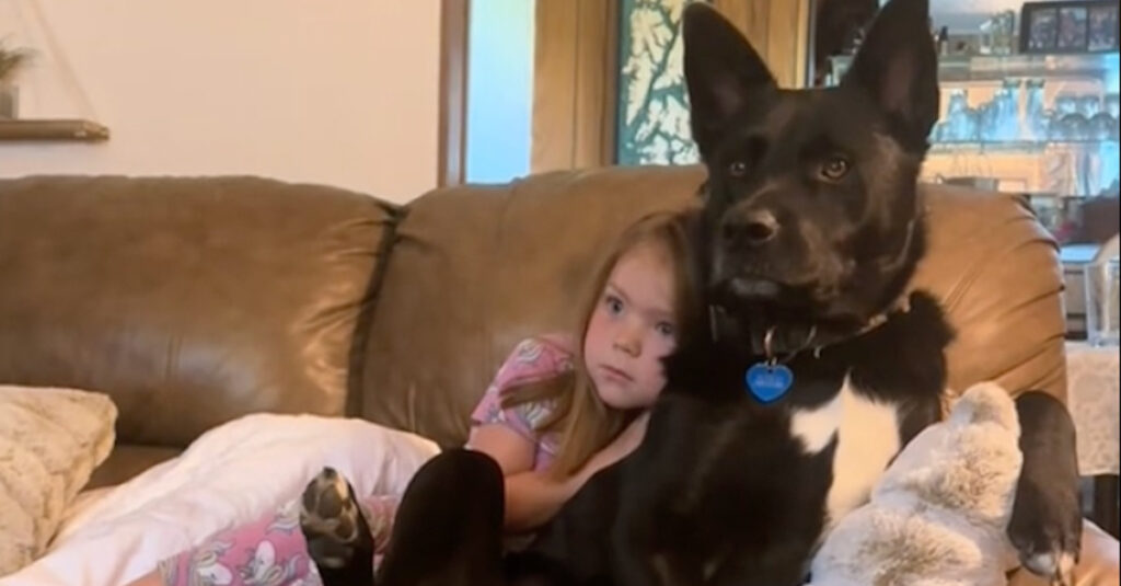 Incroyable : un chien abandonné retrouve le bonheur grâce à une adorable fillette ! (Vidéo)