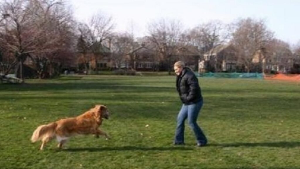 Signe divin après la dispersion des cendres de son chien : Incroyable !