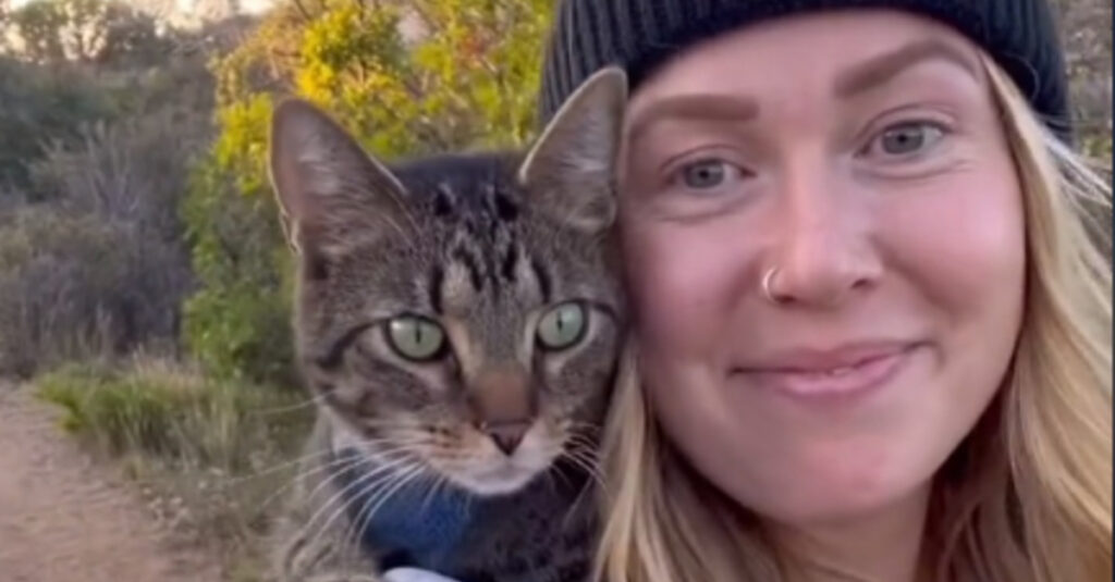 Vidéo : Les adieux déchirants d’une femme à son chat adoré, toute une vie d’aventures…