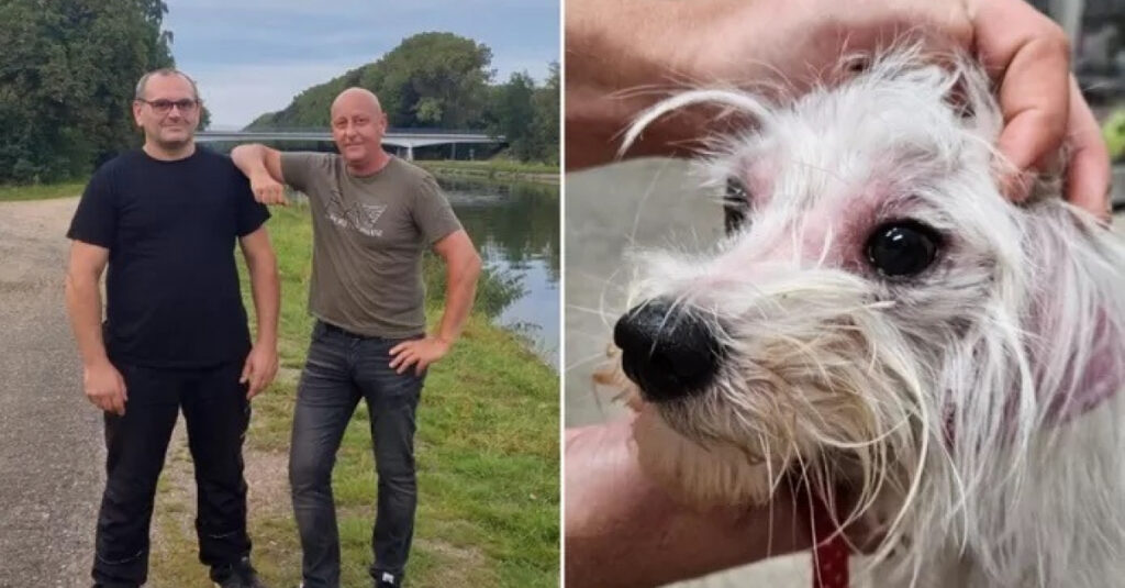 Choc : Des amis découvrent un homme en train de jeter son chien dans un canal !