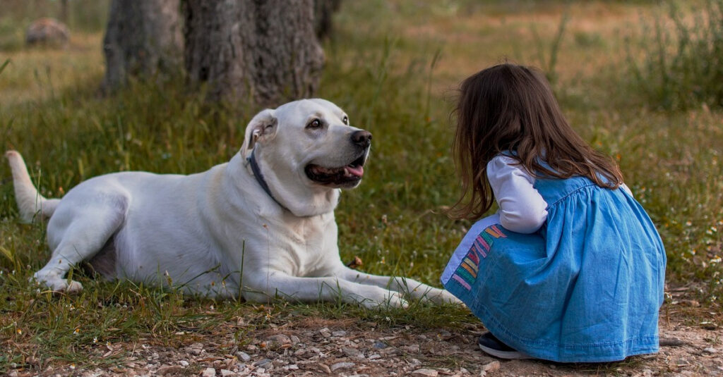 Incroyable : ces 2 chiens sauvent une petite fille de 2 ans perdue en forêt !