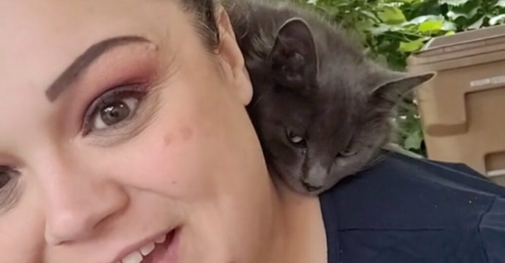 Incroyable vidéo : une chatte errante révèle un tendre secret dans le jardin d’une femme aimante !