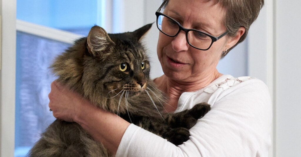 Une femme prête à tout pour retrouver son chat perdu depuis 6 mois : son incroyable détermination !