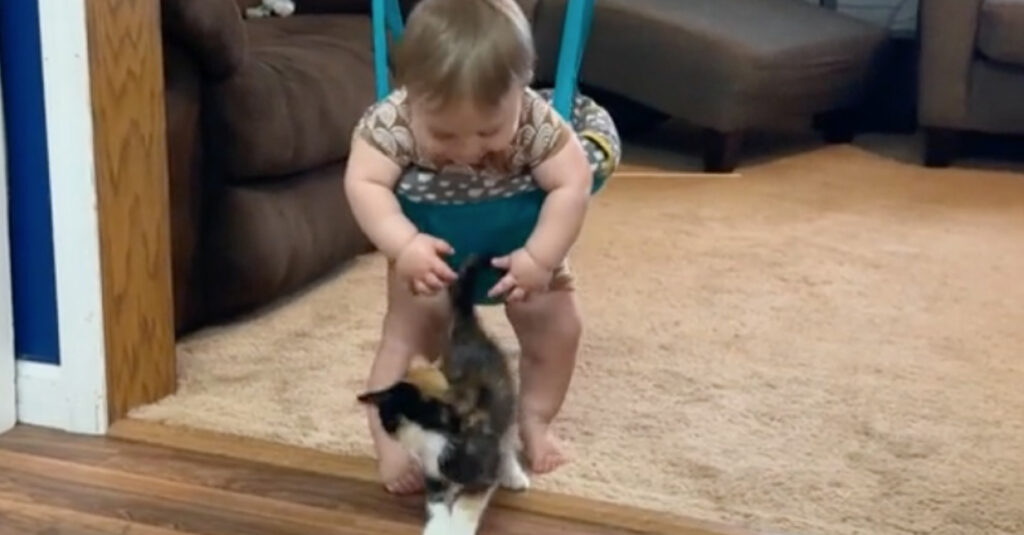 Vidéo : Le rire irrésistible d’un bébé face à un chaton, vous allez fondre !