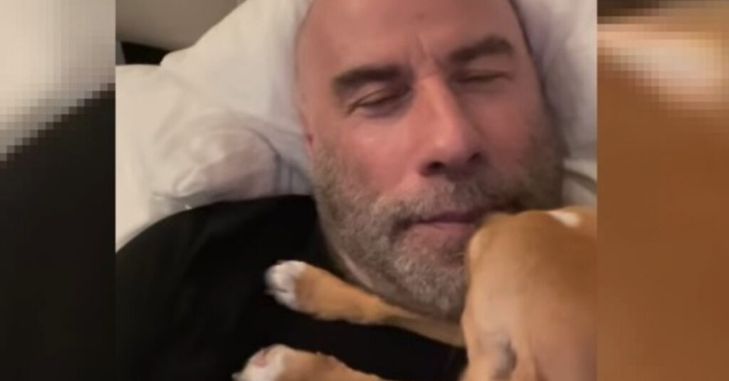 Incroyable ! La chienne adoptée de John Travolta lui donne une belle surprise matinale ! (vidéo)