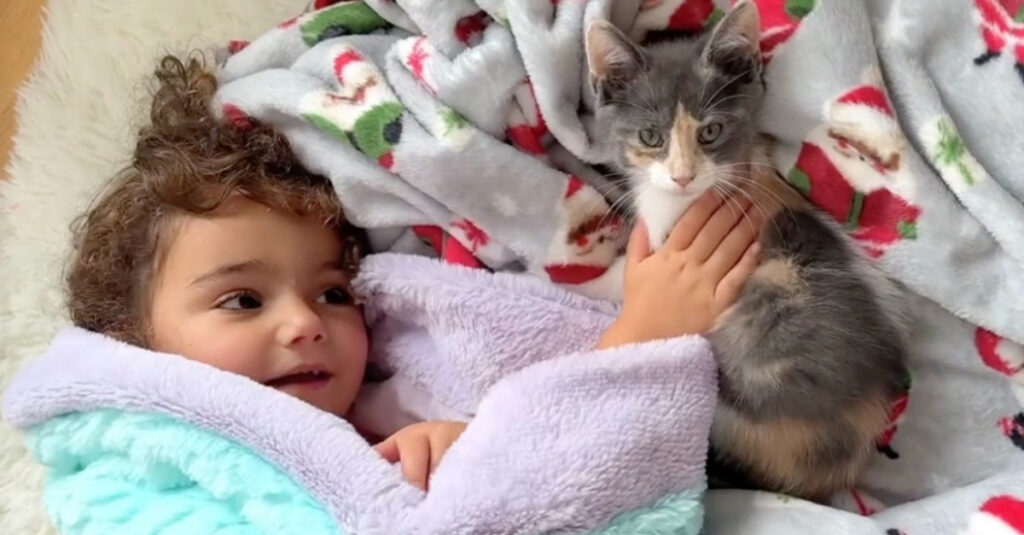 Inséparables : une fillette et un chaton font fondre les internautes (vidéo)