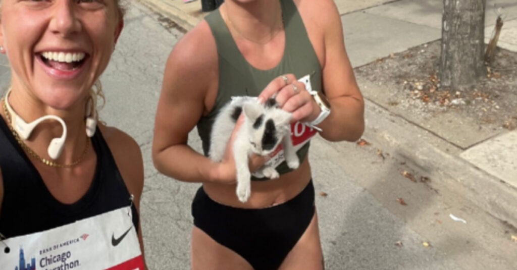 Marathonienne stoppe sa course pour sauver un chaton abandonné