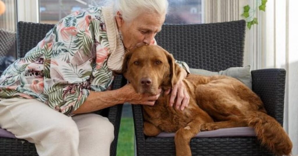 – Sauvetage désespéré d’une retraitée pour son chien : elle risque de tout perdre !
