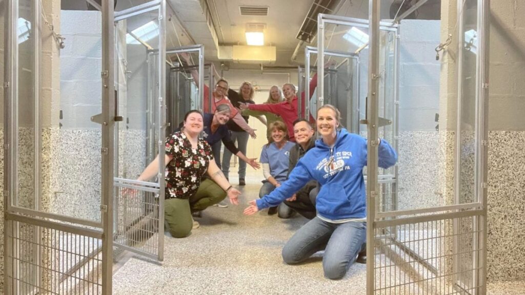 600 chiens et chats recueillis dans un refuge pour animaux : Incroyable sauvetage de Noël !