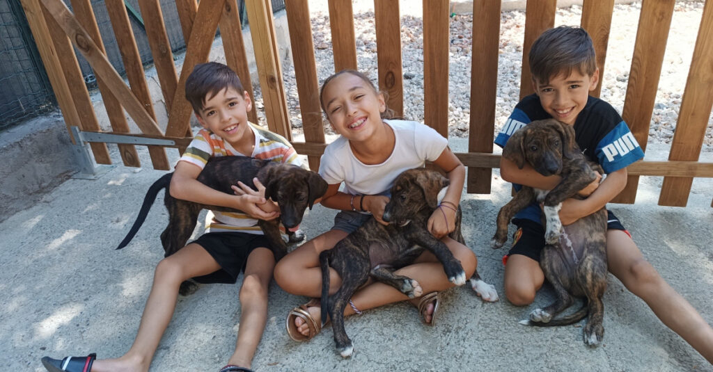 Des enfants dévoués redonnent la joie de vivre aux animaux en détresse : découvrez comment ! 🌟
