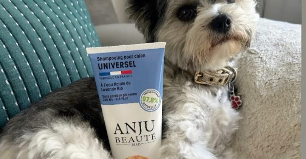 Les testeuses de Pets Genius sont folles du shampooing et du spray nettoyant Anju Beauté ! Découvrez pourquoi…