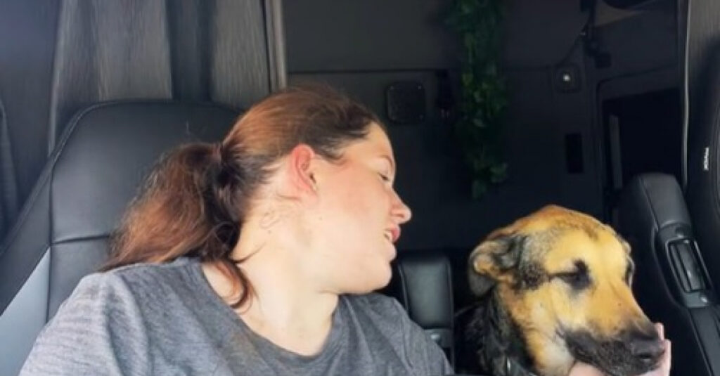 Vivre dans un camion avec mon chien : la vraie vie pour moi