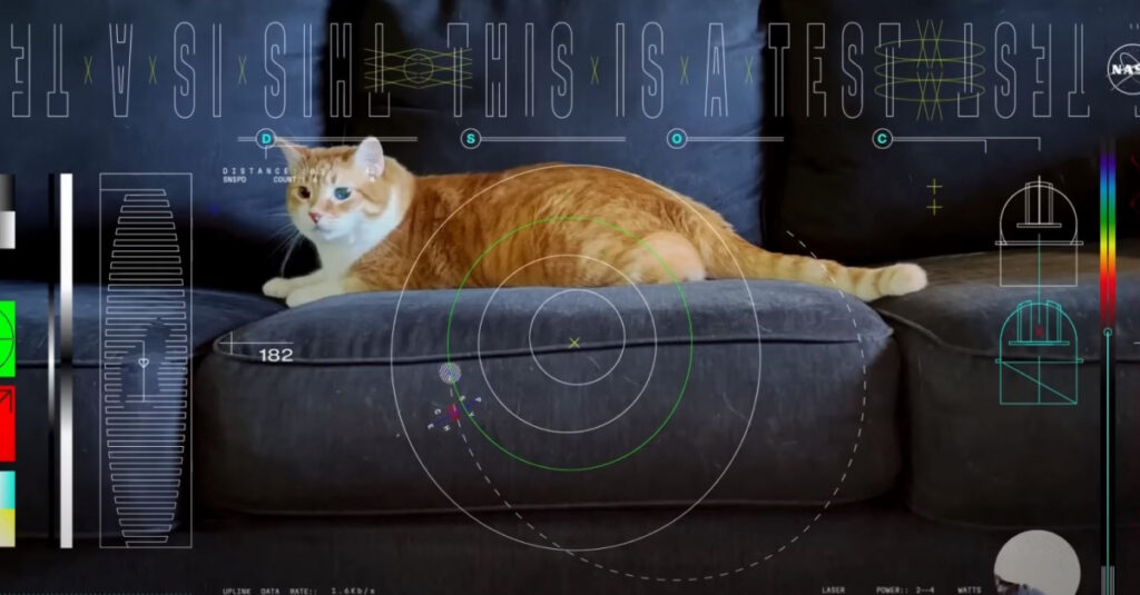 Adorable chat roux filmé depuis l’espace : Incroyable vidéo de la NASA !