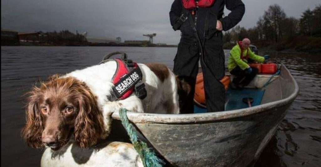 Barra, le chien renifleur sous-marin qui sauve des vies depuis plus de 10 ans