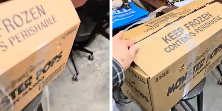 Incroyable : Le bénévole découvre un carton abandonné avec un être humain à l’intérieur !