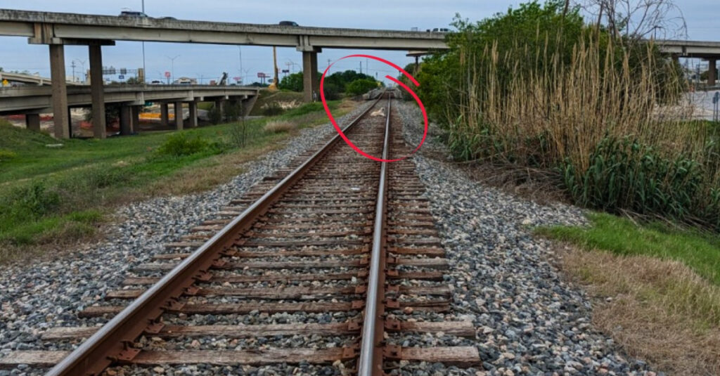 Labrador en danger : coincé sur la voie ferrée, le train fonce droit sur lui !