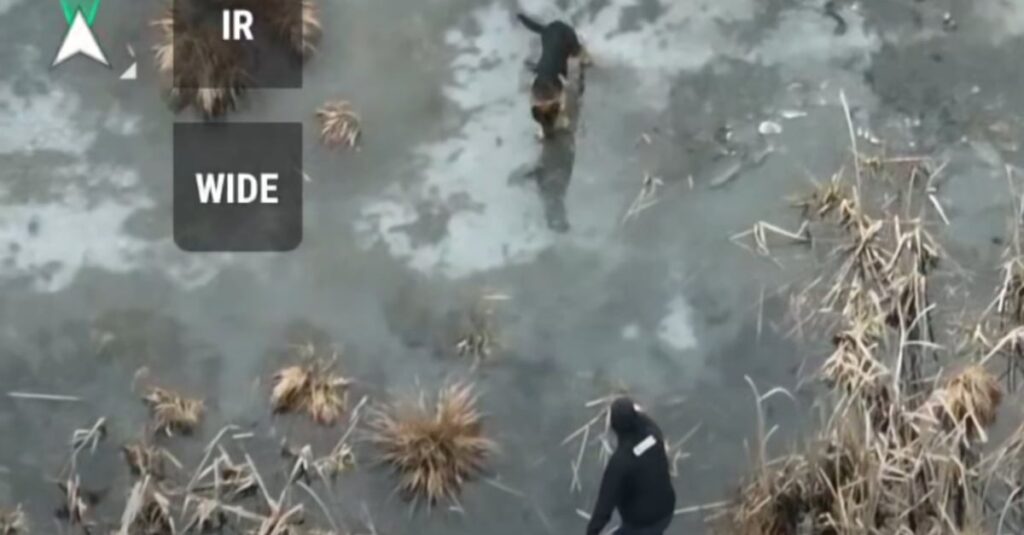 Découvrez cette incroyable vidéo d’un drone sauvant un chien pris au piège dans un lac gelé !