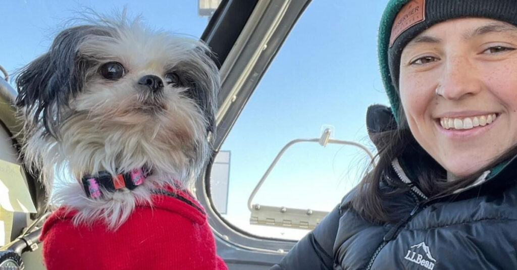 Découvrez l’incroyable sauvetage d’animaux par des pilotes d’avion bénévoles – l’histoire de cette chienne Shih Tzu va vous émouvoir !
